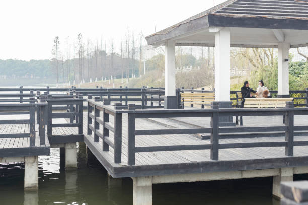 young man and woman with their pets talking in park pavilion,China.