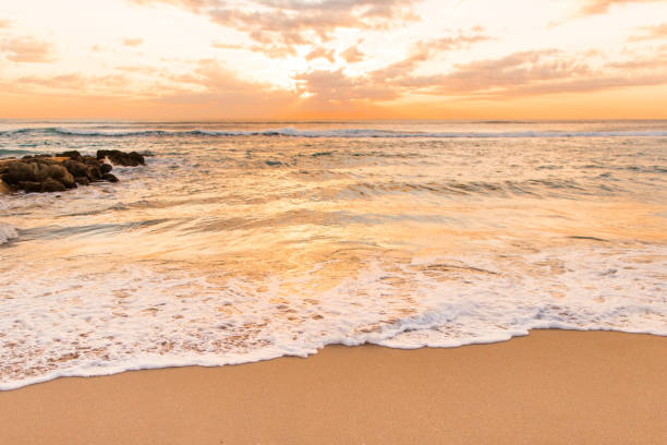 istock Golden Sunrise on Palm Beach 932573064