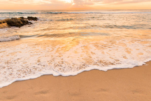 istock Golden Sunrise on Palm Beach 932573066