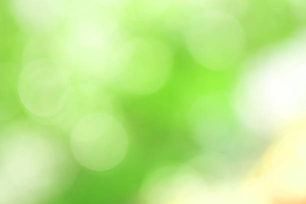 istock Green blurred background and sunlight with bokeh,  spring season. 932573272