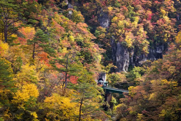 Photo of Rikuu line at Naruko gorge in autumn