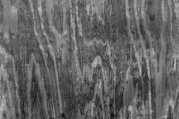 Background of old and dirty wooden wall, blackand white. stock photo