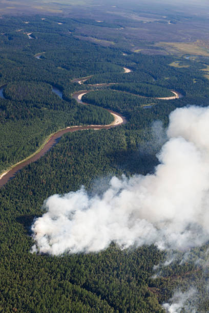 istock Aerial view of wildfire in forest 932580384