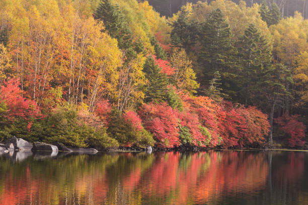 istock Shiragoma pond at nagano prefecture in autumn 932582994