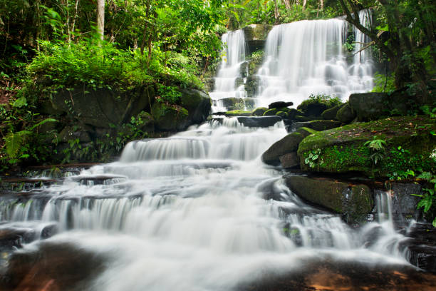 istock waterfall in thai national park. In the deep forest on mountain 932586176