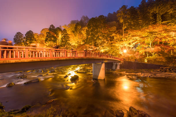 istock shiraito Waterfall in autumn season with green and red maple tree 932590700