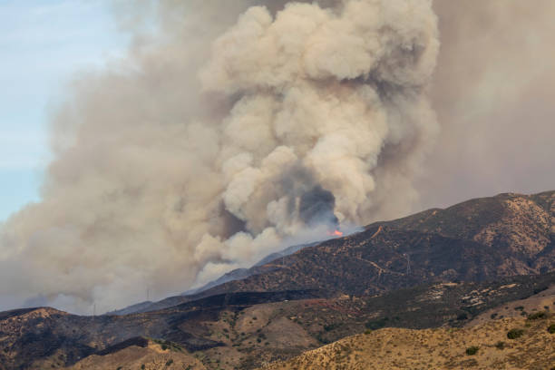 canyon brush fire - forest fire power actions nature imagens e fotografias de stock