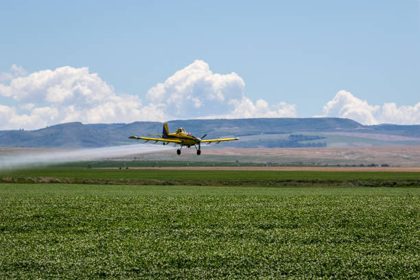 crop staubwedel - spraying agriculture farm herbicide stock-fotos und bilder