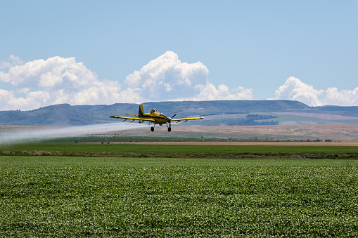Crop Duster Airplane spraying field