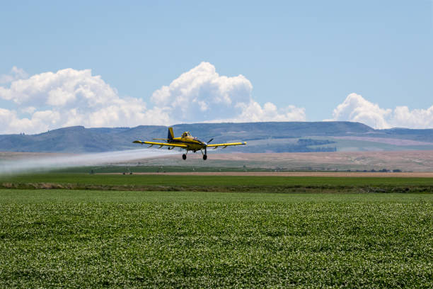 crop duster - spraying agriculture farm herbicide imagens e fotografias de stock