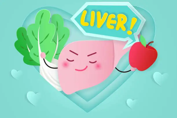 Vector illustration of cute cartoon liver