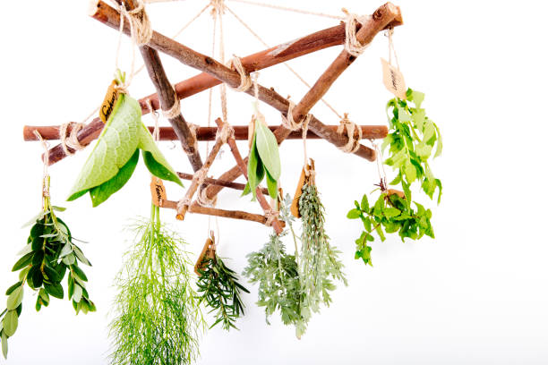 istock Kitchen - Herbal Witch Herb Dryer with fresh green herbs 932603554