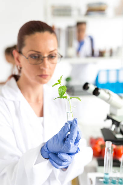 istock Female laboratory technician verify the quality of vegetables 932608744