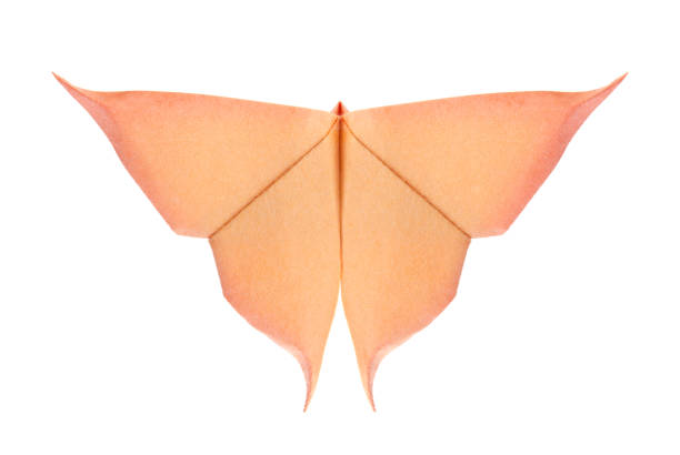 Orange butterfly of origami, isolated on white background.
