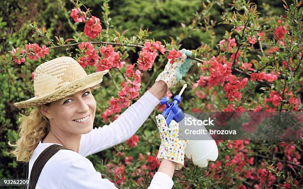 Young Woman Spraying Tree Stock Photo - Download Image Now - Quince, Chaenomeles Japonica, 30-34 Years