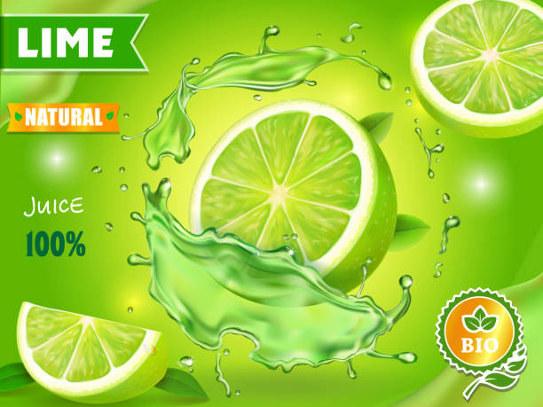 illustrazioni stock, clip art, cartoni animati e icone di tendenza di design pubblicitario poster succo di lime. cocktail di mojito vettoriale o tonico di agrumi - lime ripe fruit citrus fruit