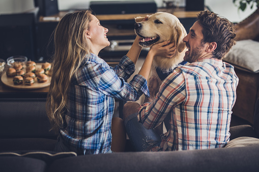 Young happy couple having fun while spending their free time with retriever at home.