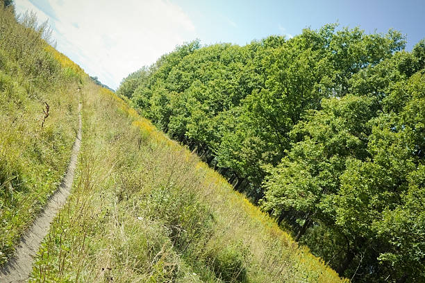 Country road stock photo