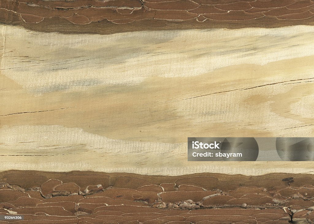 texture en bois de pin - Photo de Abstrait libre de droits