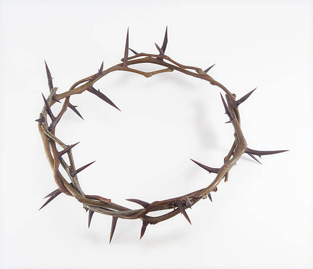 istock Crown of thorns 93264386