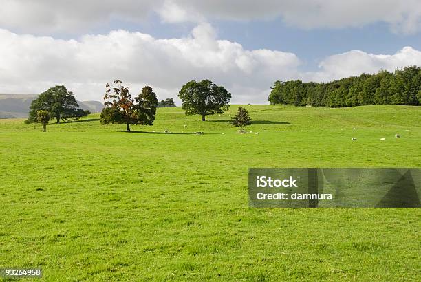 Ackerland Lake District Großbritannien Stockfoto und mehr Bilder von Agrarbetrieb - Agrarbetrieb, Baum, Cumbria