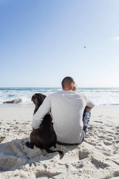 istock Young man and his dog sitting together on the beach. 932658604
