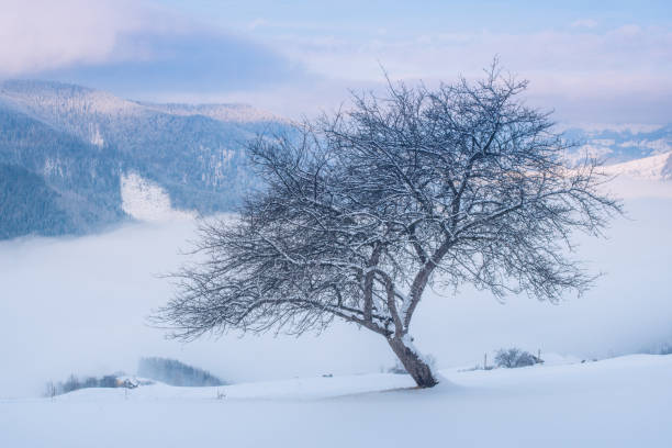 Magical winter landscape in the highlands mesmerizing view