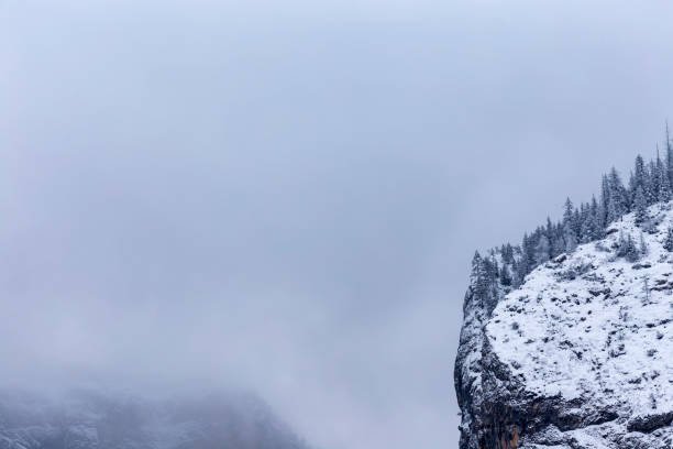 istock Winter landscape with pine trees forest in Carpathians mountains 932662224