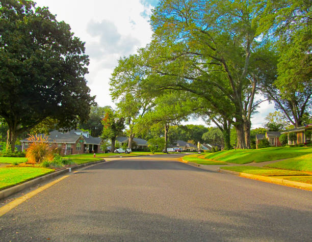 istock Sunny day in the Tyler. 932670802