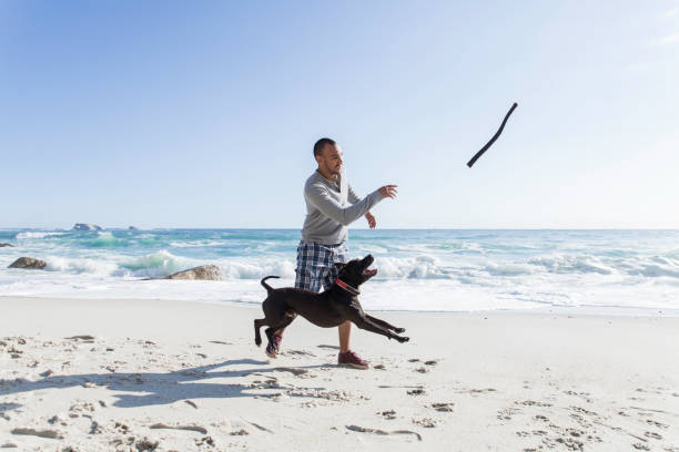 Young man playing fetch with his dog on the beach. stock photo