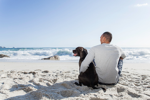 Young caucasian male sitting next to his pit bull terrier at the beach, both owner and dog are looking at the sea.