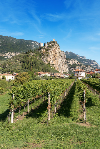 Arco di Trento, small town near the Lake Garda in the Sarca valley, Trentino Alto Adige, Italy, Europe