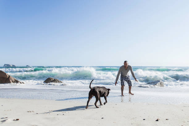 istock Young man playing with his dog at the beach. 932683178