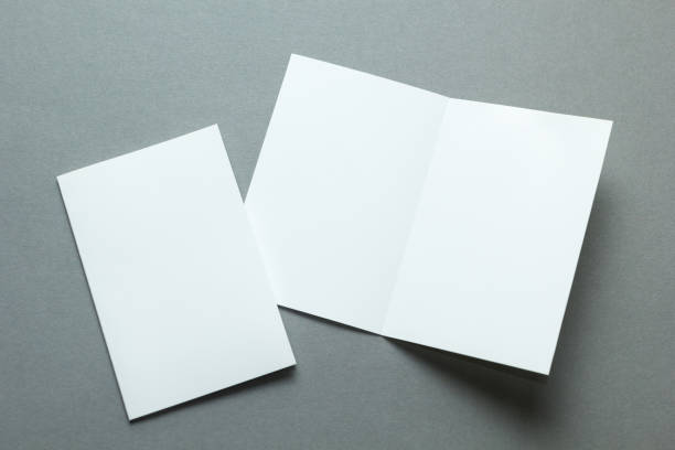 istock Identity design, corporate templates, company style, blank white folding paper flyer 932683744