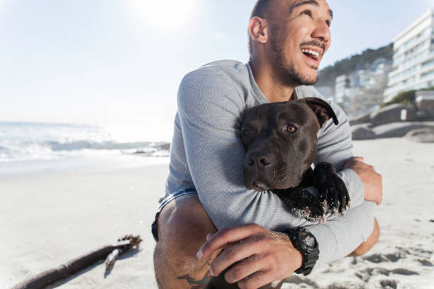 istock Young man holding his pit bull at the beach. 932684706
