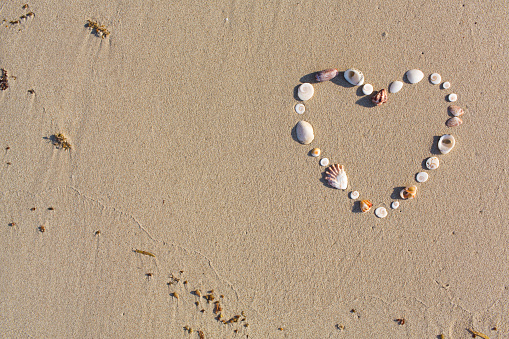 Stock photo showing close-up view of a pile of seashells with a starfish surrounding a metallic, red model heart standing up in the sand on a sunny, golden beach with sea at low tide in the background. Romantic holiday and honeymoon concept.