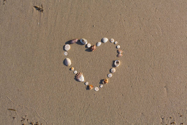 istock Heart shaped from shells lies on a beach in the sand on Koh Samui 932686852