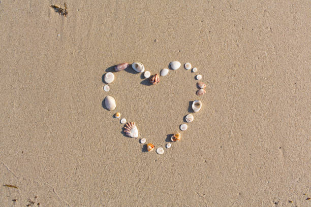 istock Heart shaped from shells lies on a beach in the sand on Koh Samui 932686898