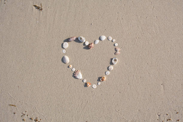 istock Heart shaped from shells lies on a beach in the sand on Koh Samui 932688950