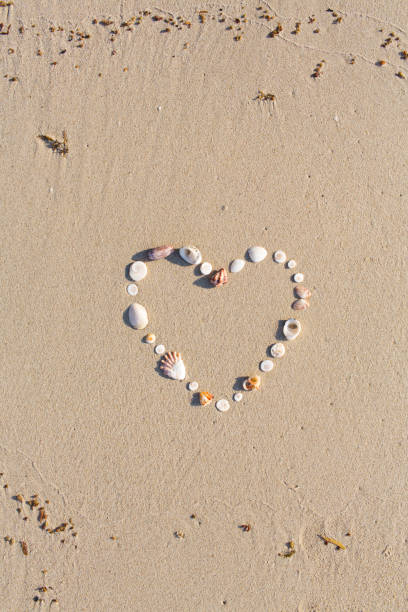 istock Heart shaped from shells lies on a beach in the sand on Koh Samui 932689474