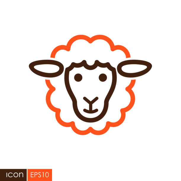 ilustrações de stock, clip art, desenhos animados e ícones de sheep vector icon. animal head - wildlife sheep animal body part animal head