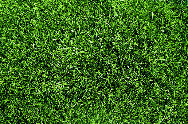 close up aerial view of the grass on a soccer field  - grass stockfoto's en -beelden