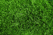 Close up aerial view of the grass on a soccer field 