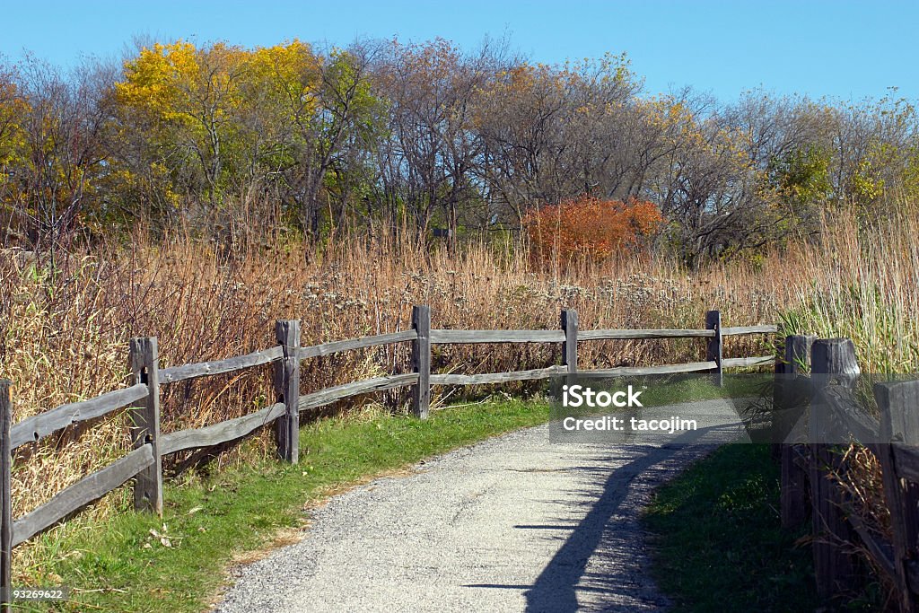 Sentier pavé - Photo de Automne libre de droits