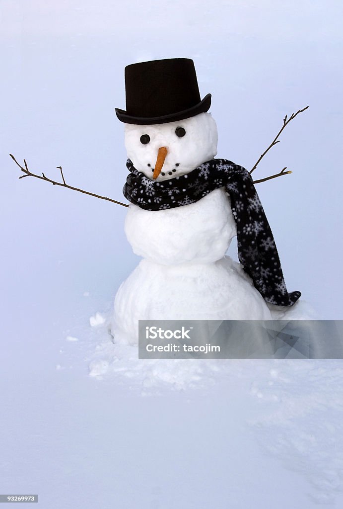 뒷뜰에서 눈사람 - 로열티 프리 눈사람 스톡 사진