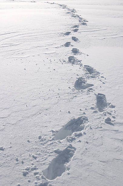 Giant footprints in white snow stock photo