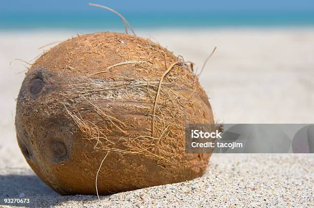 Beach Coconut 2 Stock Photo - Download Image Now - Beach, Blue, Close-up