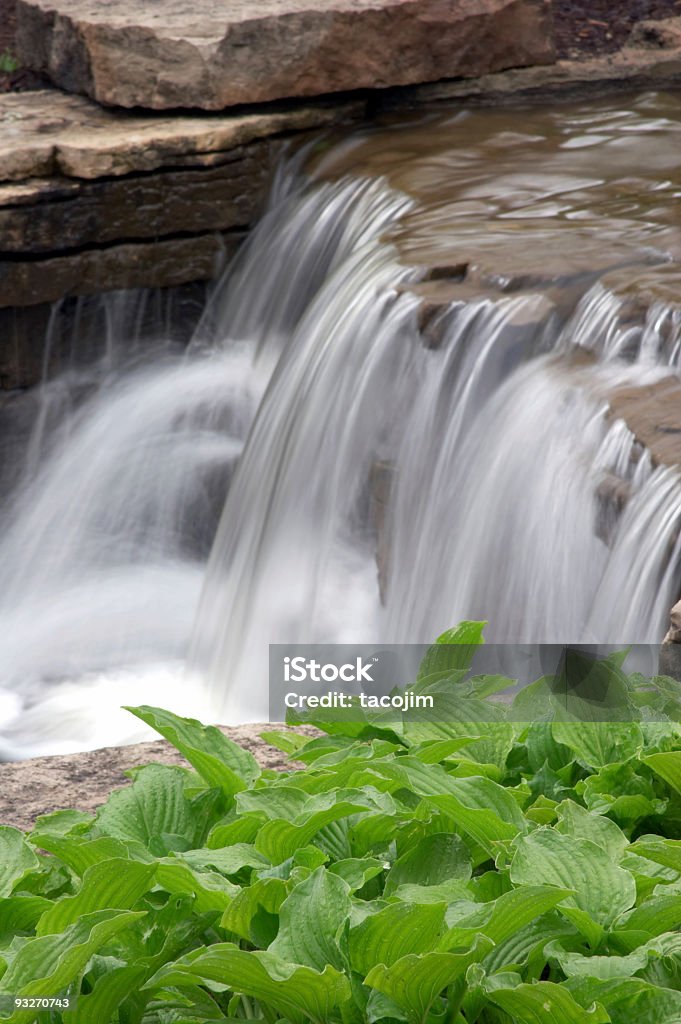 Jardín con cascada#2 - Foto de stock de Agua libre de derechos