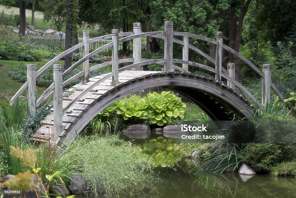 Puente de conductos - Foto de stock de Ajardinado libre de derechos