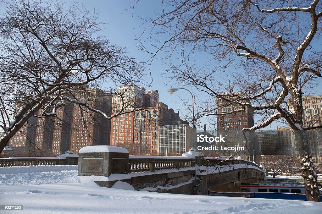 Winter parco - Foto stock royalty-free di Chicago - Illinois